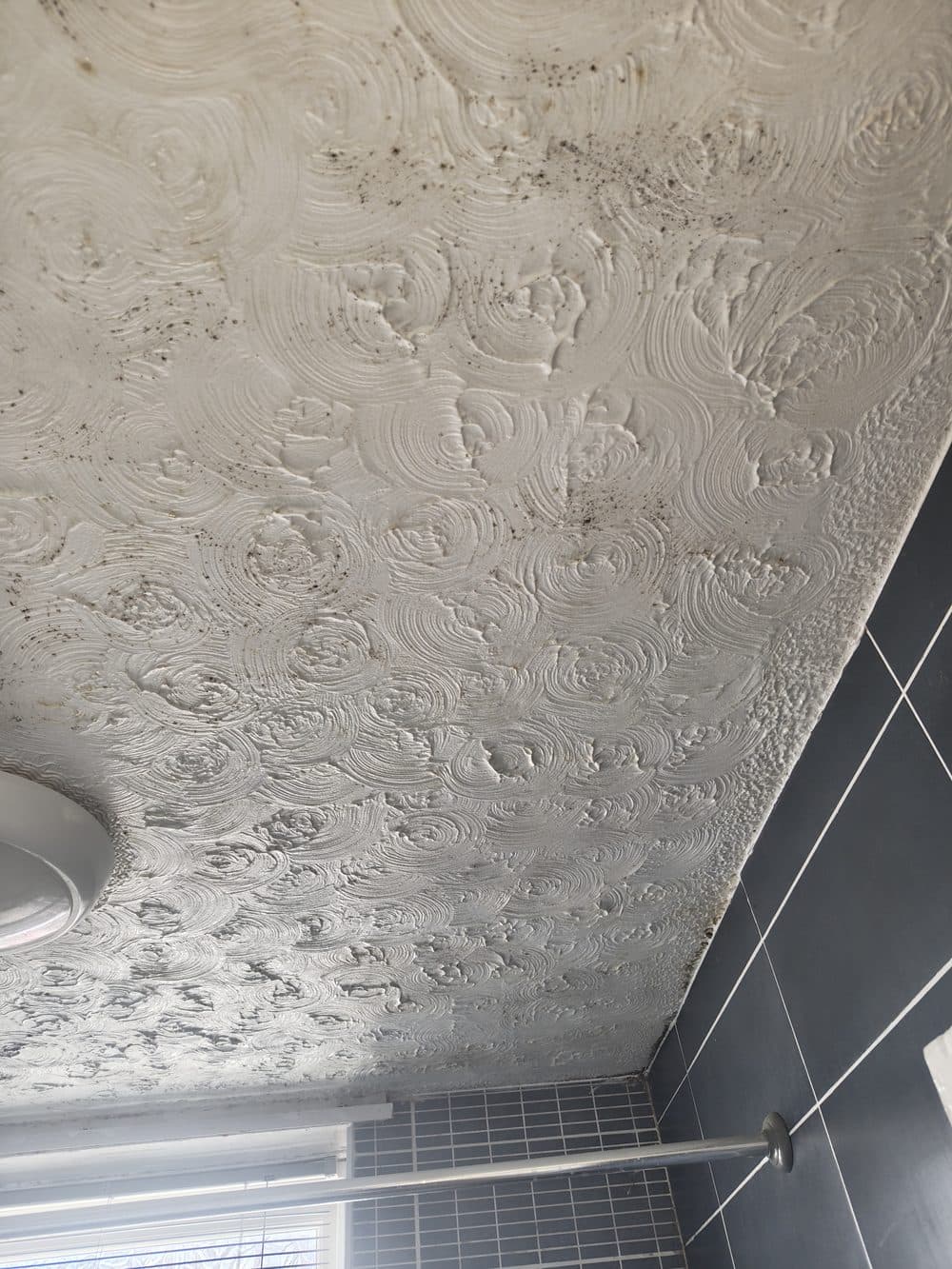 Ceiling after two anti-fungal washes and fungicidal sealant, with residual staining still visible in the corners
