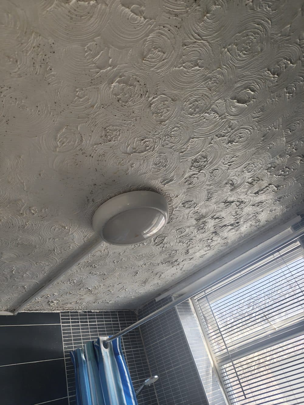 Close-up of ceiling surface post-treatment, mould killed but staining not yet fully covered