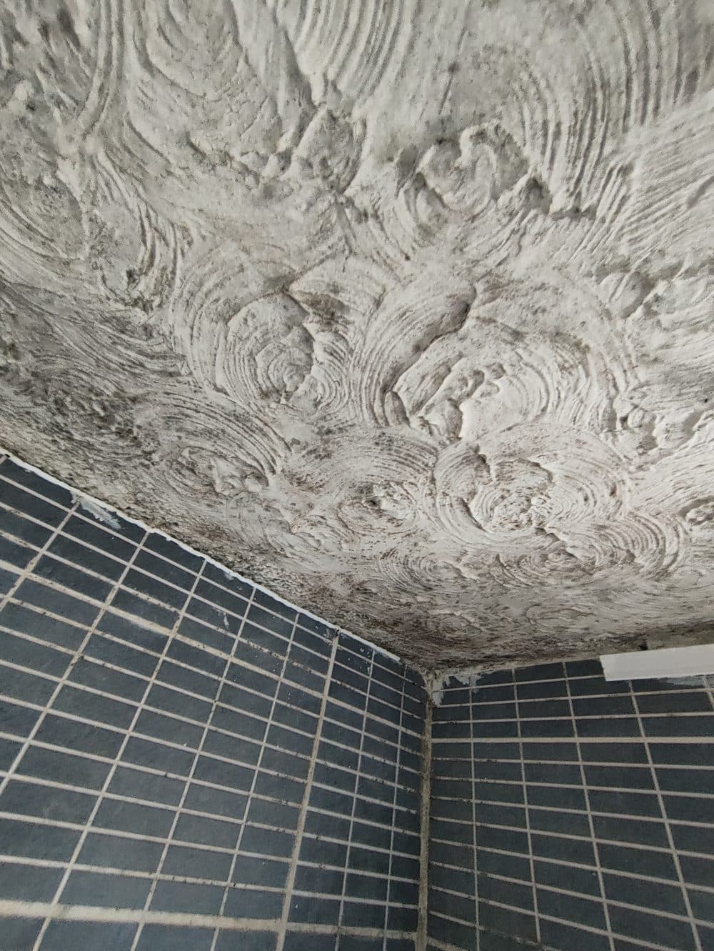 Close-up of mould concentration in the ceiling corner above the shower