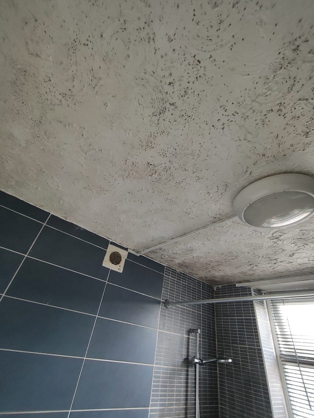 Bathroom ceiling before treatment, showing heavy black mould spotting across the textured surface